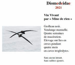 Mine de Rien - Diomedeidae 2021